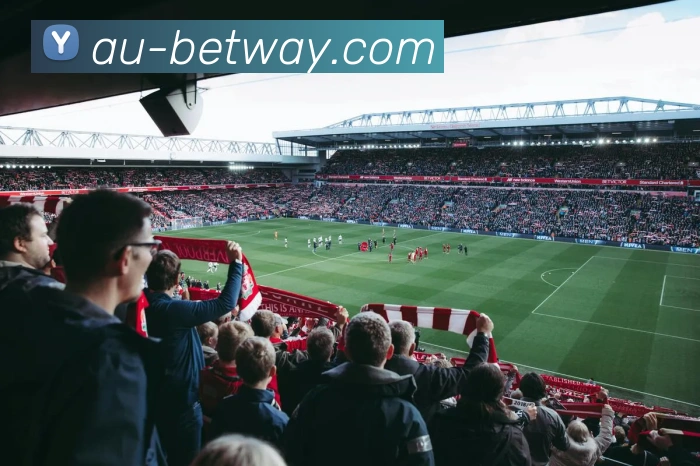 App Interface Preview